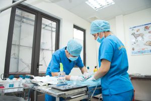 Điểm chuẩn cao đẳng thú y