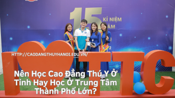 Nên Học Cao Đẳng Thú Y Ở Tỉnh Hay Học Ở Trung Tâm Thành Phố Lớn?